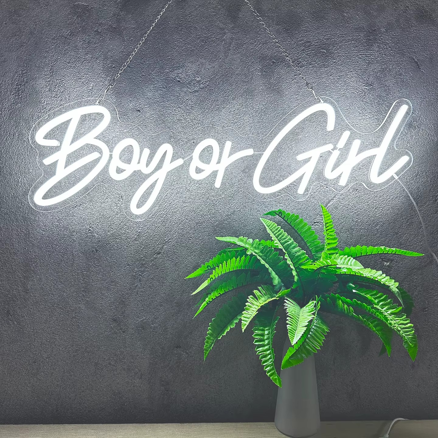 "Boy or Girl" Neon Sign