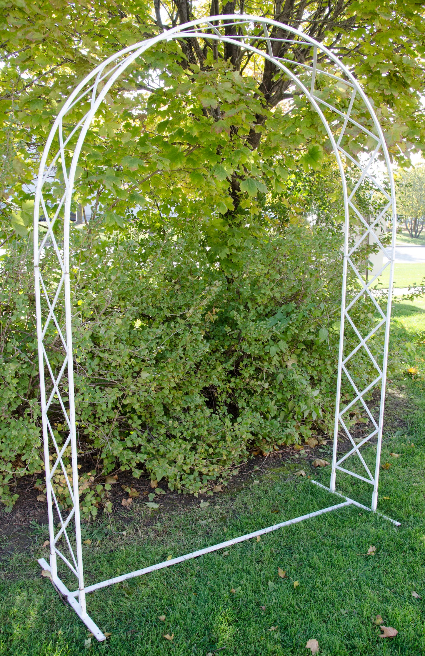 White Lattice Arch - Style 1