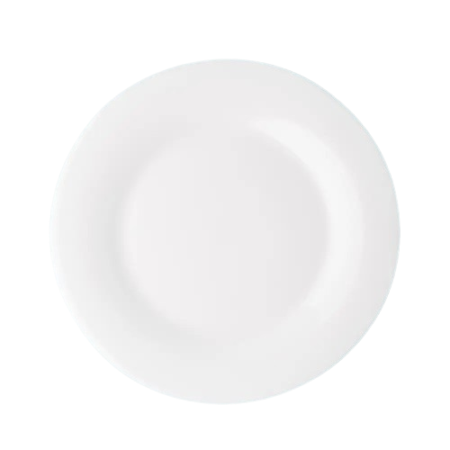 Dinner Plate