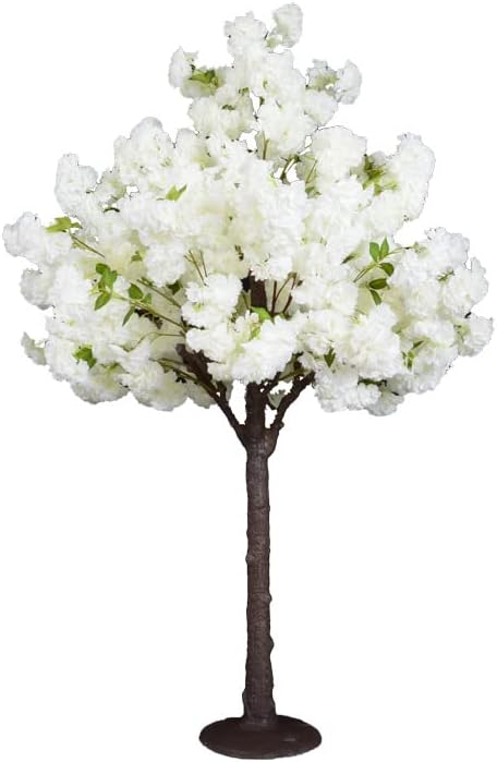 4' White Cherry Blossom Tree