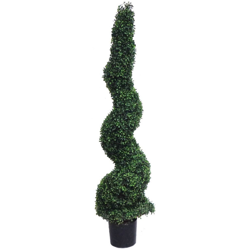 Box Wood Tree (Small)