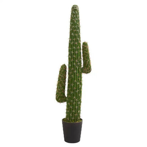 Cactus Plant Tree (Small)